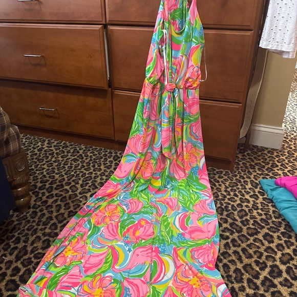 Lilly Pulitzer maxi dress - Picture 1 of 5